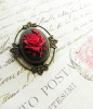 A Single Red Rose